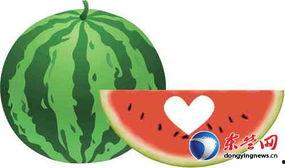 瓜农吃瓜简笔画,一幅生动的农村生活画卷