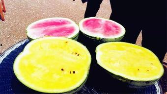 吃瓜爆网,揭秘娱乐圈幕后真相,带你走进明星生活