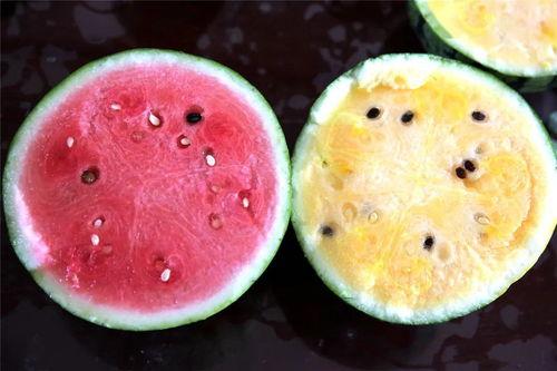 吃瓜看瓜我说是瓜,揭秘瓜界风云录