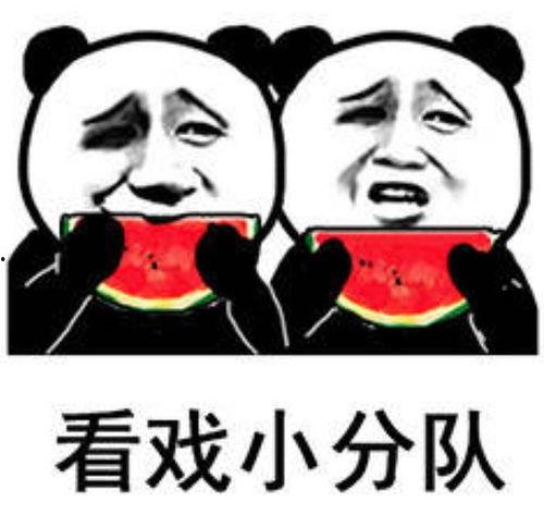 中学吃瓜表情包