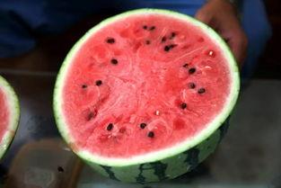 武力吃瓜,揭秘军事冲突中的娱乐现象