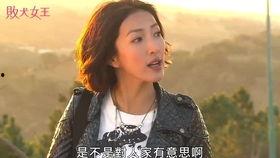 四妹儿吃瓜哥,一场爆笑的瓜界风云